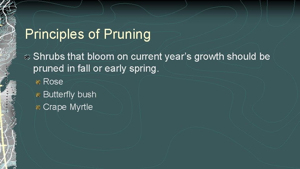 Principles of Pruning Shrubs that bloom on current year’s growth should be pruned in