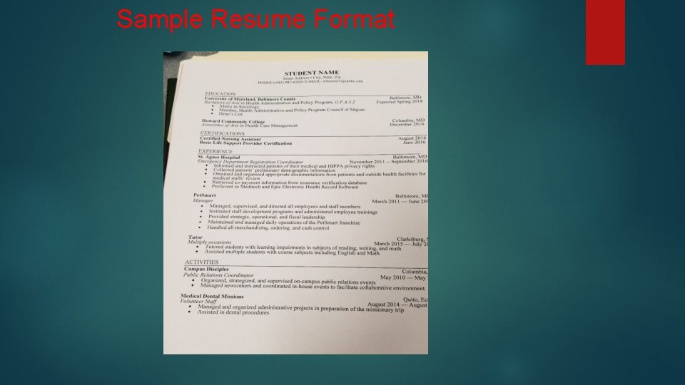 Sample Resume Format 