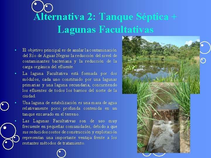 Alternativa 2: Tanque Séptica + Lagunas Facultativas • • El objetivo principal es de