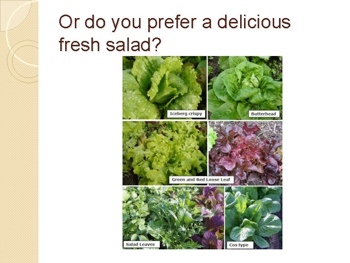 Or do you prefer a delicious fresh salad? Or do you prefer a delicious fresh salad?