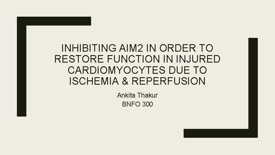 INHIBITING AIM 2 IN ORDER TO RESTORE FUNCTION IN INJURED CARDIOMYOCYTES DUE TO ISCHEMIA