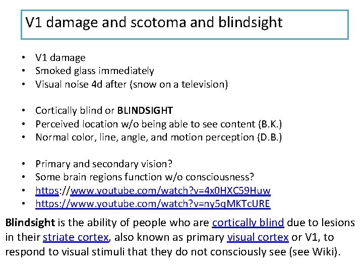 V 1 damage and scotoma and blindsight • V 1 damage • Smoked glass