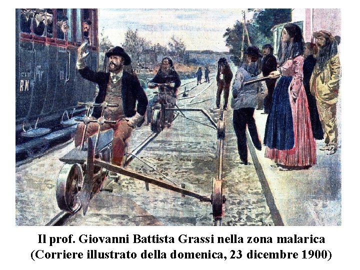 Il prof. Giovanni Battista Grassi nella zona malarica (Corriere illustrato della domenica, 23 dicembre