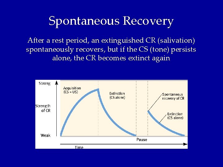 Spontaneous Recovery After a rest period, an extinguished CR (salivation) spontaneously recovers, but if