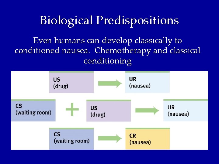 Biological Predispositions Even humans can develop classically to conditioned nausea. Chemotherapy and classical conditioning