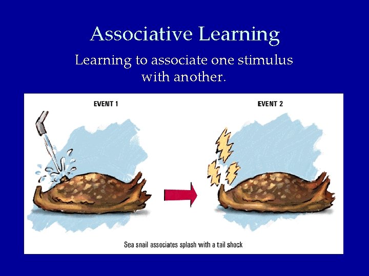 Associative Learning to associate one stimulus with another. 