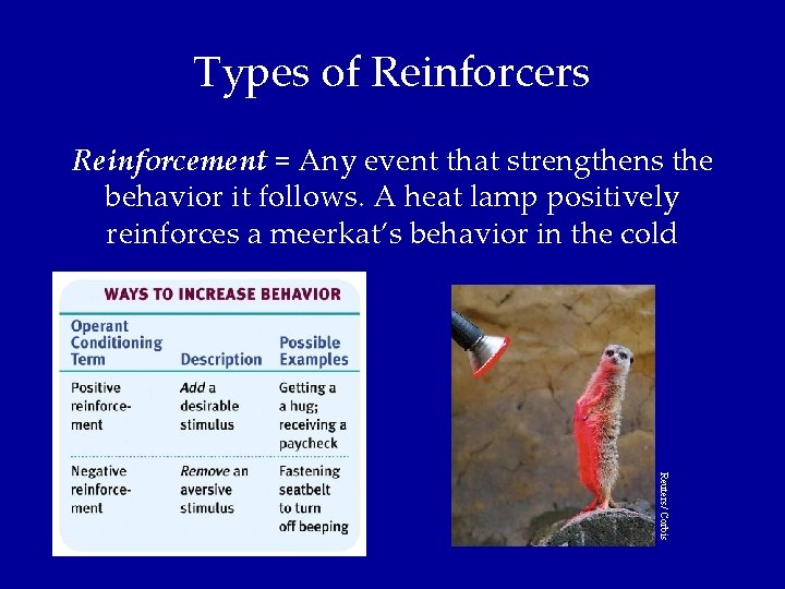 Types of Reinforcers Reinforcement = Any event that strengthens the behavior it follows. A