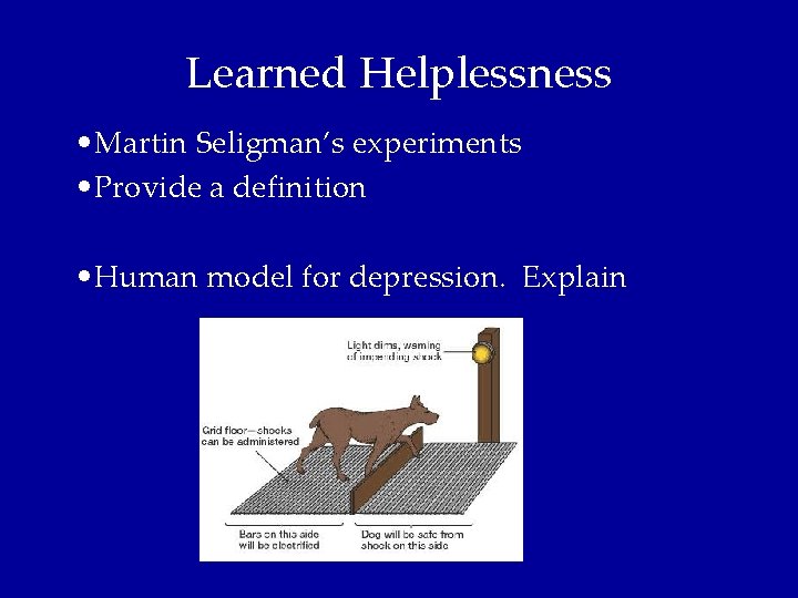 Learned Helplessness • Martin Seligman’s experiments • Provide a definition • Human model for