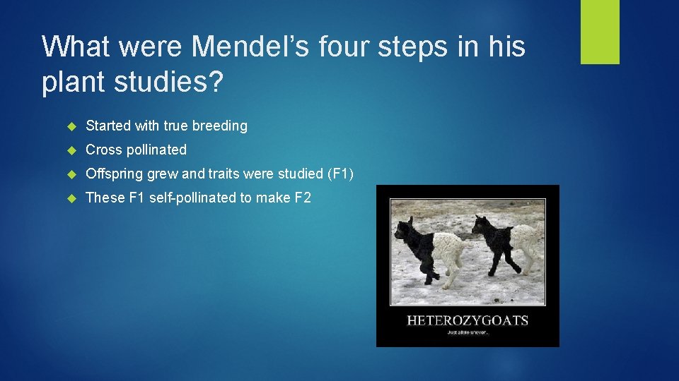 What were Mendel’s four steps in his plant studies? Started with true breeding Cross