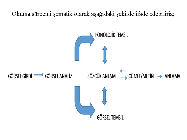 Okuma sürecini şematik olarak aşağıdaki şekilde ifade edebiliriz; 