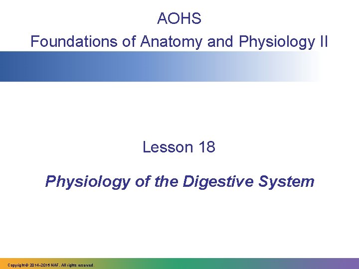 AOHS Foundations of Anatomy and Physiology II Lesson 18 Physiology of the Digestive System