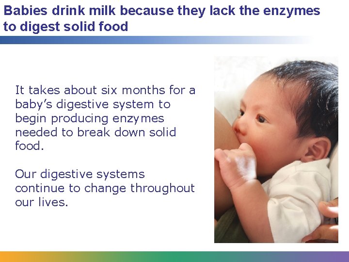Babies drink milk because they lack the enzymes to digest solid food It takes