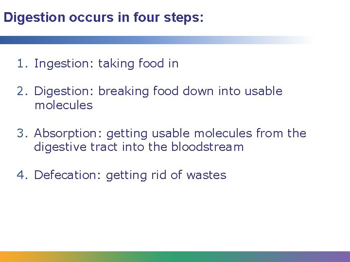 Digestion occurs in four steps: 1. Ingestion: taking food in 2. Digestion: breaking food