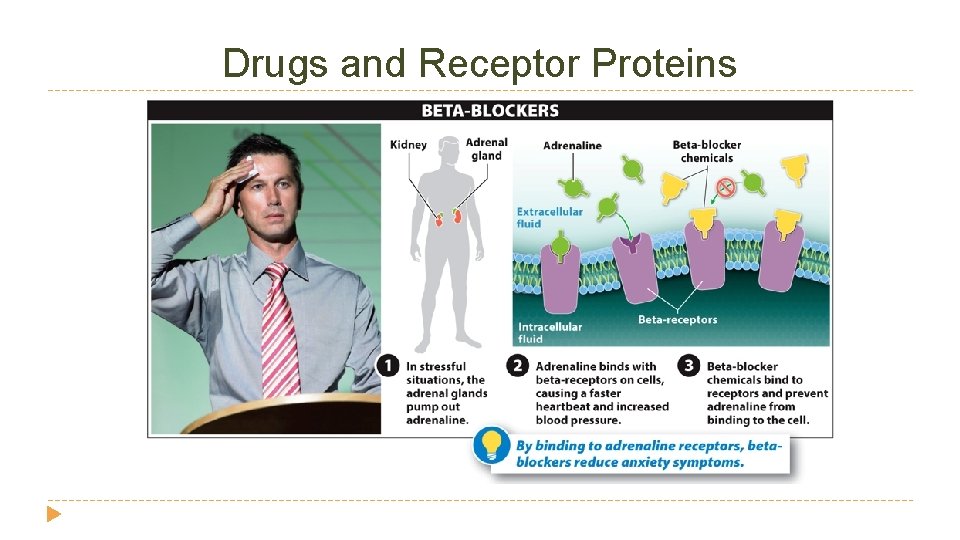Drugs and Receptor Proteins Drugs and Receptor Proteins