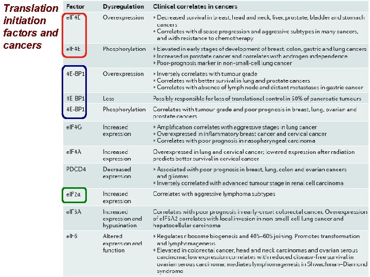 Translation initiation factors and cancers 