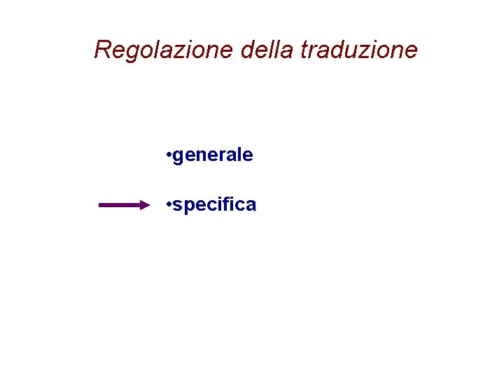 Regolazione della traduzione • generale • specifica 