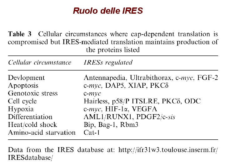 Ruolo delle IRES 