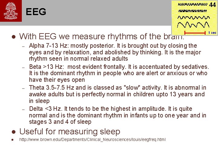 EEG l With EEG we measure rhythms of the brain: – – Alpha 7