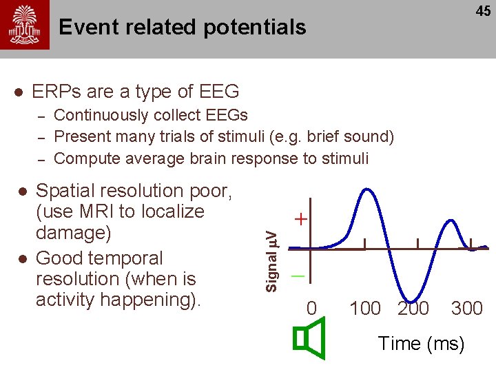 45 Event related potentials ERPs are a type of EEG – – – l