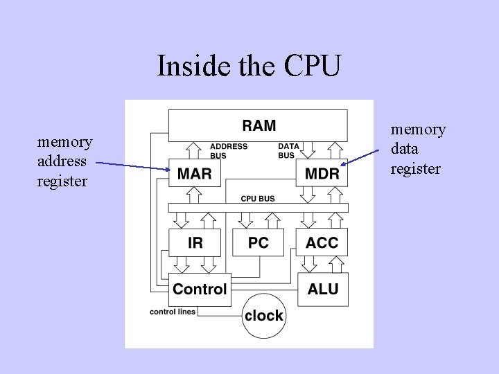 Inside the CPU memory address register memory data register 