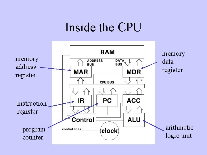 Inside the CPU memory address register memory data register instruction register program counter arithmetic