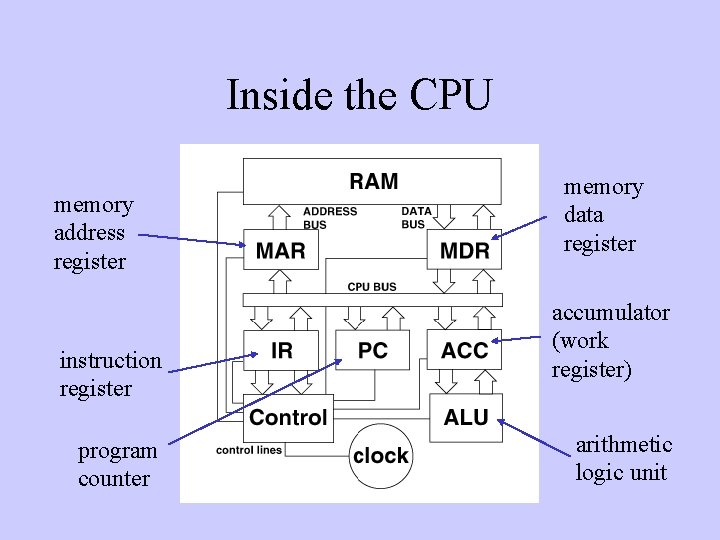 Inside the CPU memory address register instruction register program counter memory data register accumulator