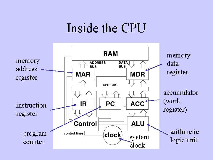 Inside the CPU memory data register memory address register accumulator (work register) instruction register