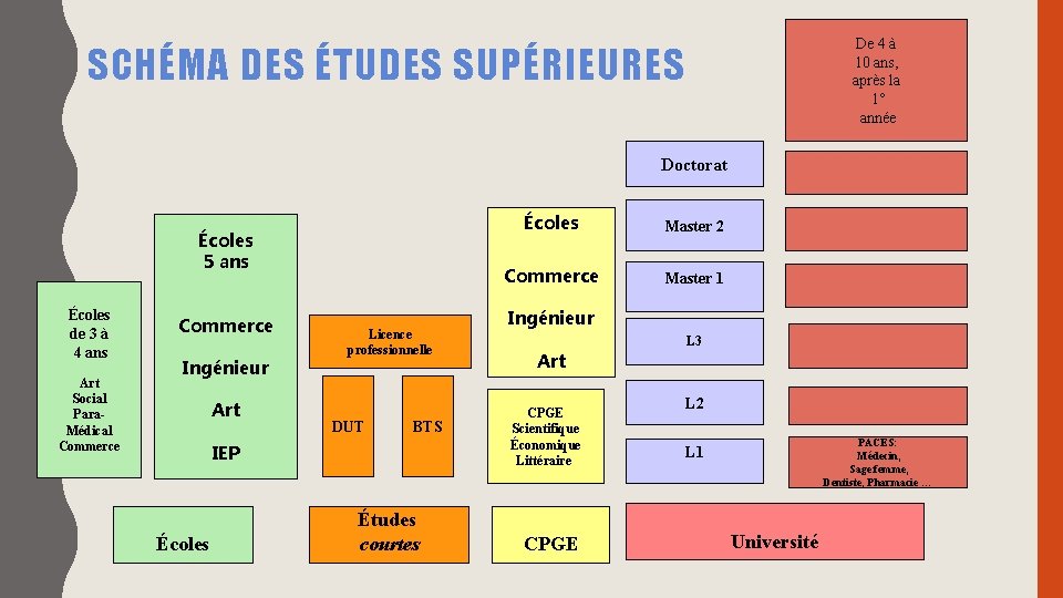 De 4 à 10 ans, après la 1° année SCHÉMA DES ÉTUDES SUPÉRIEURES Doctorat