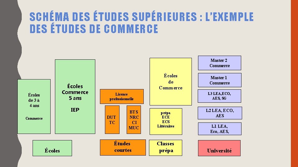 SCHÉMA DES ÉTUDES SUPÉRIEURES : L’EXEMPLE DES ÉTUDES DE COMMERCE Master 2 Commerce Écoles