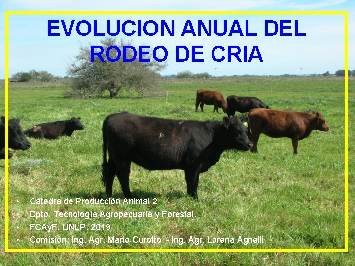 EVOLUCION ANUAL DEL RODEO DE CRIA • • Cátedra de Producción Animal 2 Dpto.