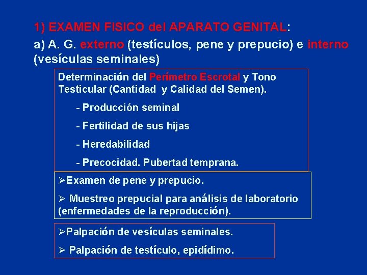 1) EXAMEN FISICO del APARATO GENITAL: a) A. G. externo (testículos, pene y prepucio)