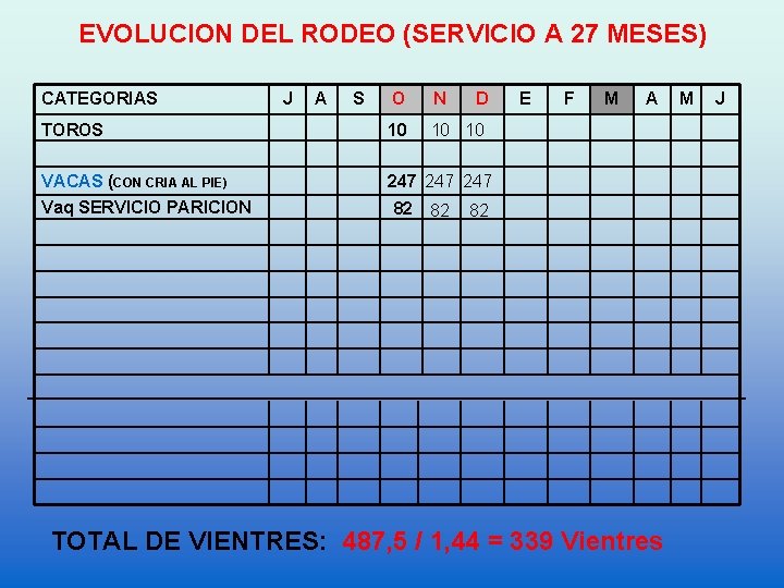 EVOLUCION DEL RODEO (SERVICIO A 27 MESES) CATEGORIAS J A S O N TOROS