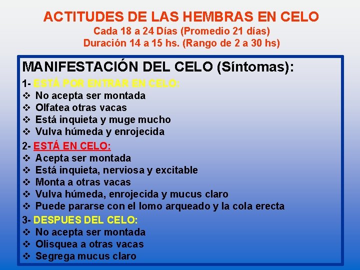 ACTITUDES DE LAS HEMBRAS EN CELO Cada 18 a 24 Días (Promedio 21 días)