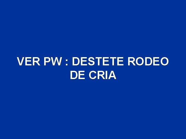 VER PW : DESTETE RODEO DE CRIA 