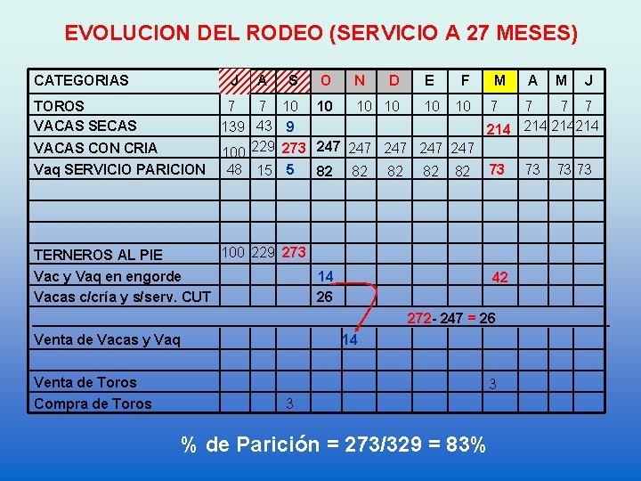 EVOLUCION DEL RODEO (SERVICIO A 27 MESES) CATEGORIAS J TOROS VACAS SECAS VACAS CON