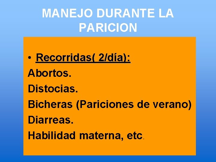 MANEJO DURANTE LA PARICION • Recorridas( 2/día): Abortos. Distocias. Bicheras (Pariciones de verano) Diarreas.