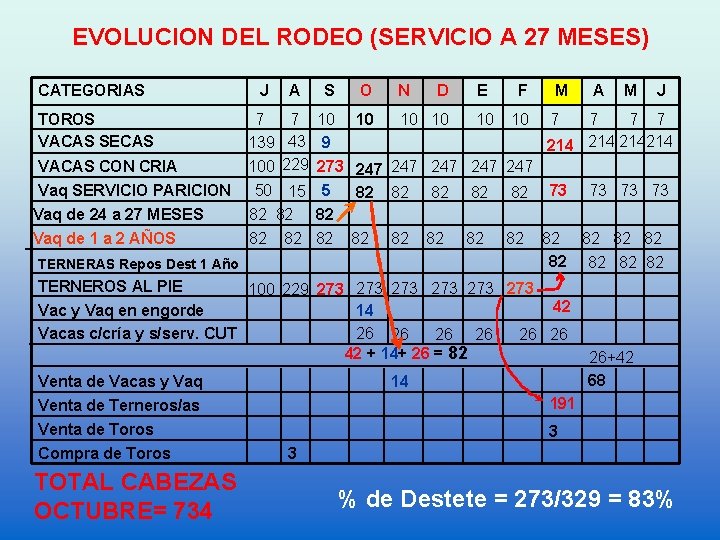 EVOLUCION DEL RODEO (SERVICIO A 27 MESES) CATEGORIAS TOROS VACAS SECAS VACAS CON CRIA