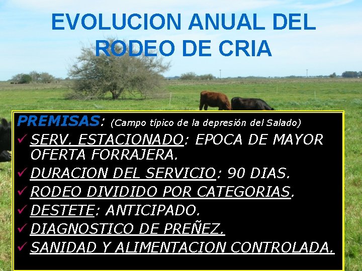 EVOLUCION ANUAL DEL RODEO DE CRIA PREMISAS: (Campo típico de la depresión del Salado)