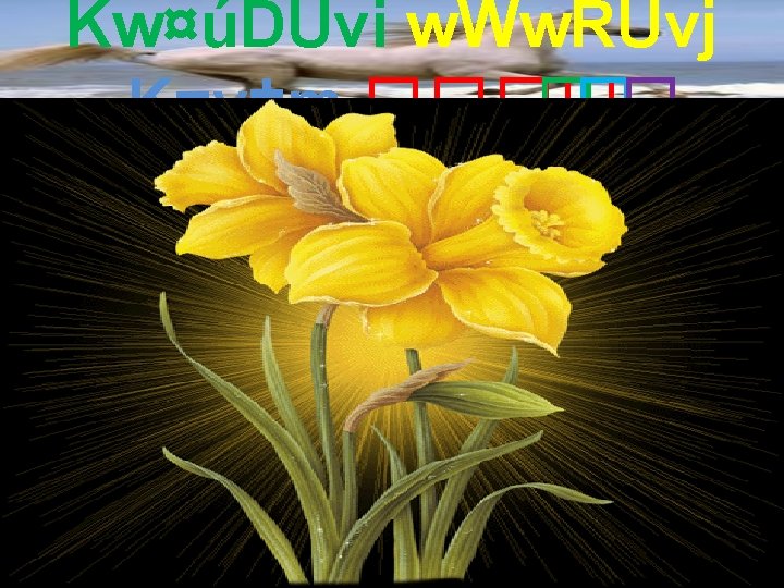 Kw¤úDUvi w. Ww. RUvj K¬v‡m ���� 