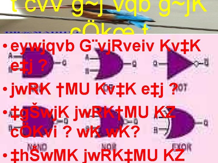 t cv. V g~j¨vqb g~j. K cÖkœ t • eywjqvb G¨vj. Rveiv Kv‡K e‡j