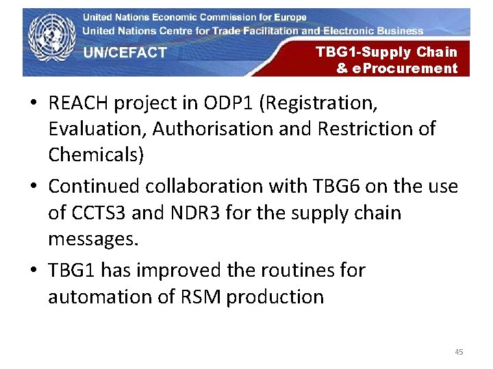 UN Economic Commission for Europe TBG 1 -Supply Chain & e. Procurement • REACH UN Economic Commission for Europe TBG 1 -Supply Chain & e. Procurement • REACH