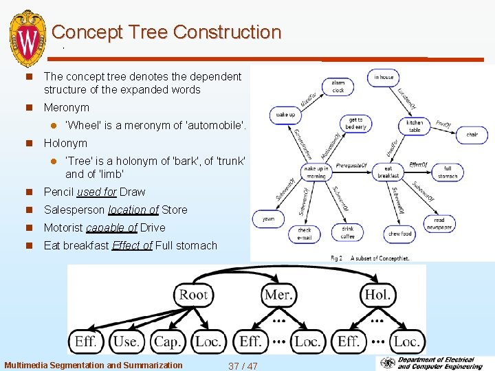 Concept Tree Construction n The concept tree denotes the dependent structure of the expanded