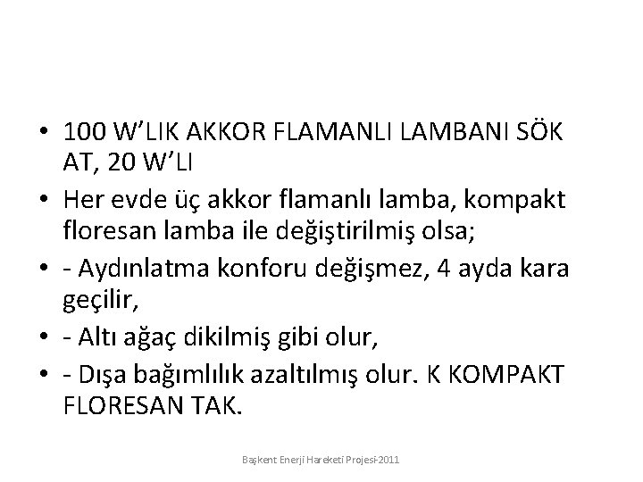  • 100 W’LIK AKKOR FLAMANLI LAMBANI SÖK AT, 20 W’LI • Her evde