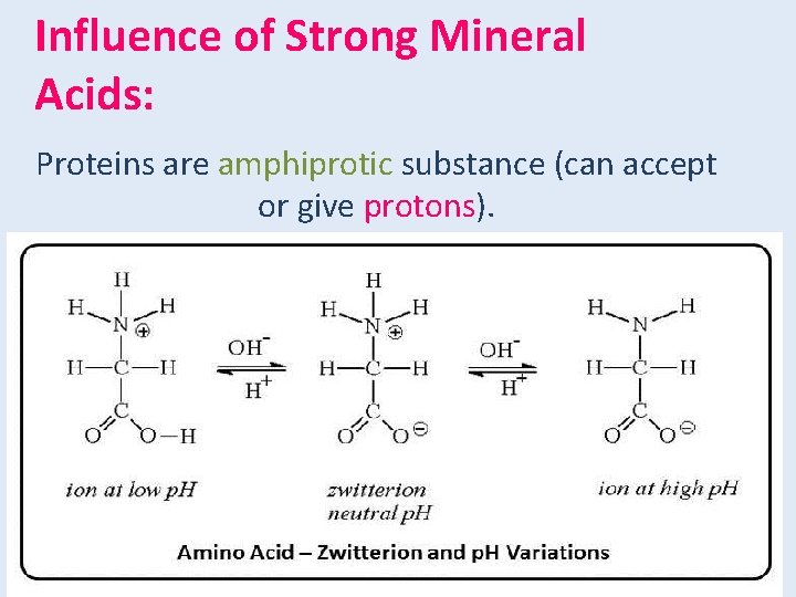 Influence of Strong Mineral Acids: Proteins are amphiprotic substance (can accept or give protons).
