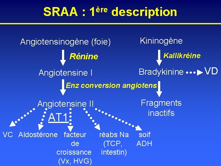 SRAA : 1ère description Angiotensinogène (foie) Kininogène Kallikréine Rénine Angiotensine I Bradykinine Enz conversion