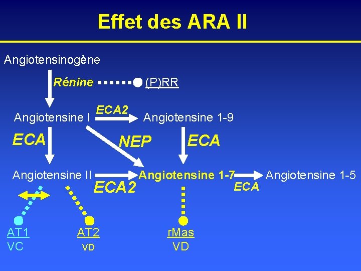 Effet des ARA II Angiotensinogène Rénine (P)RR ECA 2 Angiotensine I ECA NEP Angiotensine