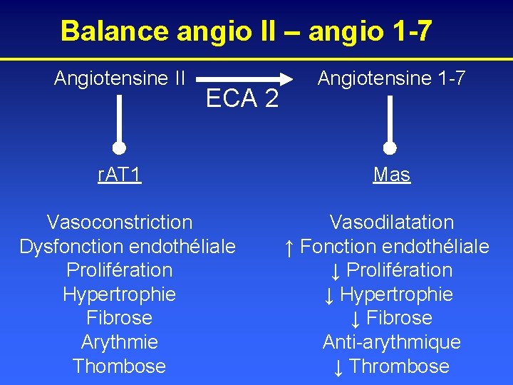 Balance angio II – angio 1 -7 Angiotensine II ECA 2 r. AT 1