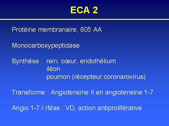 ECA 2 Protéine membranaire, 805 AA Monocarboxypeptidase Synthèse : rein, cœur, endothélium iléon poumon