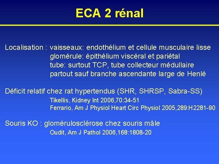ECA 2 rénal Localisation : vaisseaux: endothélium et cellule musculaire lisse glomérule: épithélium viscéral