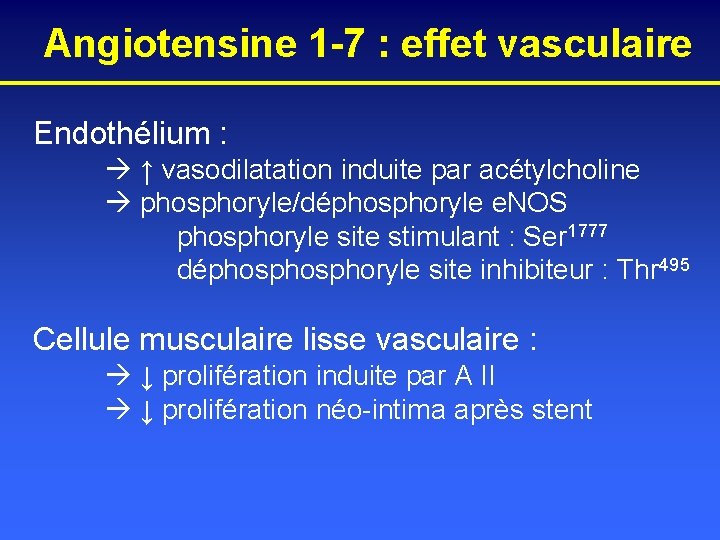 Angiotensine 1 -7 : effet vasculaire Endothélium : ↑ vasodilatation induite par acétylcholine phosphoryle/déphosphoryle